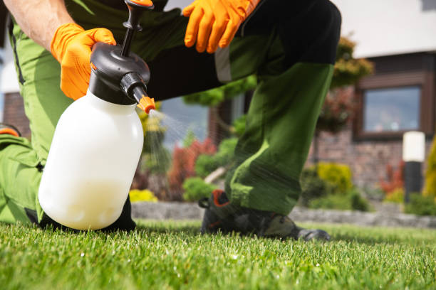 Best Pest Control Near Me in Shaw, MS
