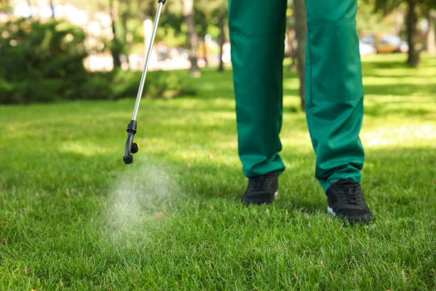 Best Best Pest Control Near Me  in Shaw, MS