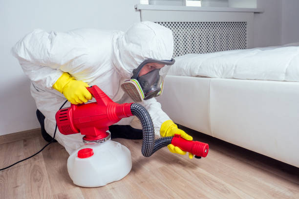Best Mosquito Control Services  in Shaw, MS