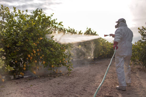 Best Affordable Pest Control Services  in Shaw, MS