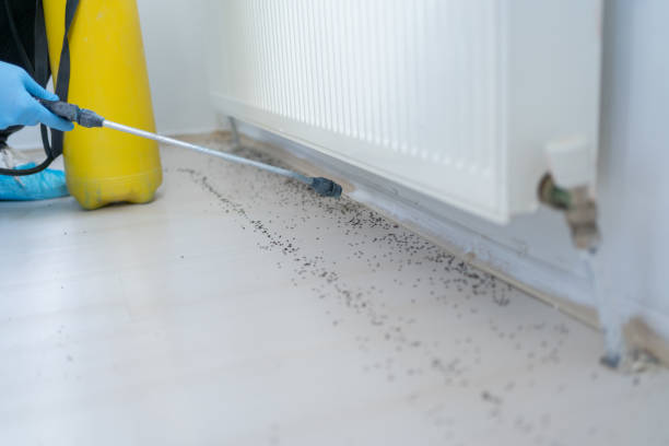 Best Residential Pest Control  in Shaw, MS
